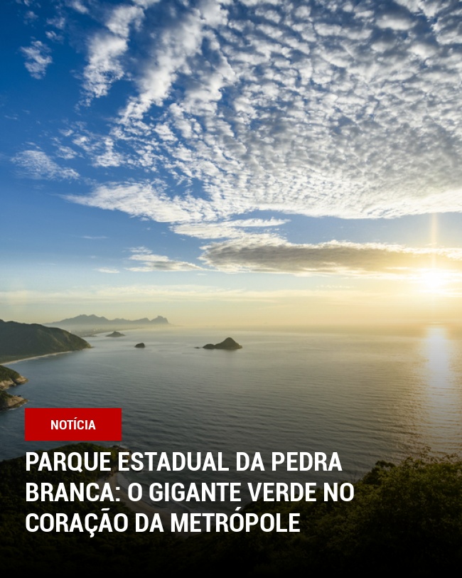 Parque Estadual da Pedra Branca: O Gigante Verde no Coração da Metrópole