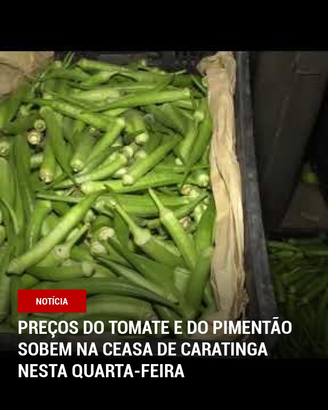 Preços do tomate e do pimentão sobem na Ceasa de Caratinga nesta quarta-feira