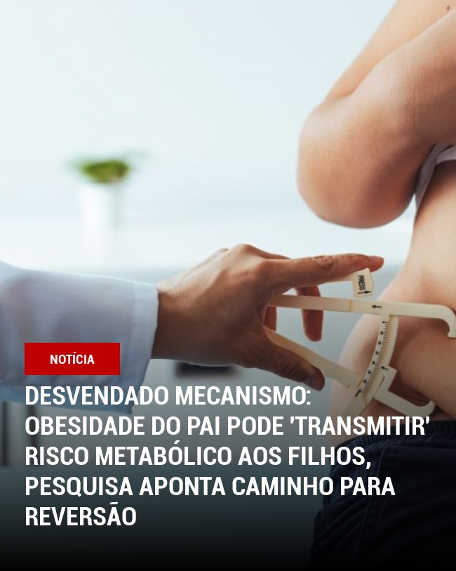 Desvendado Mecanismo: Obesidade do Pai Pode 'Transmitir' Risco Metabólico aos Filhos, Pesquisa Aponta Caminho para Reversão