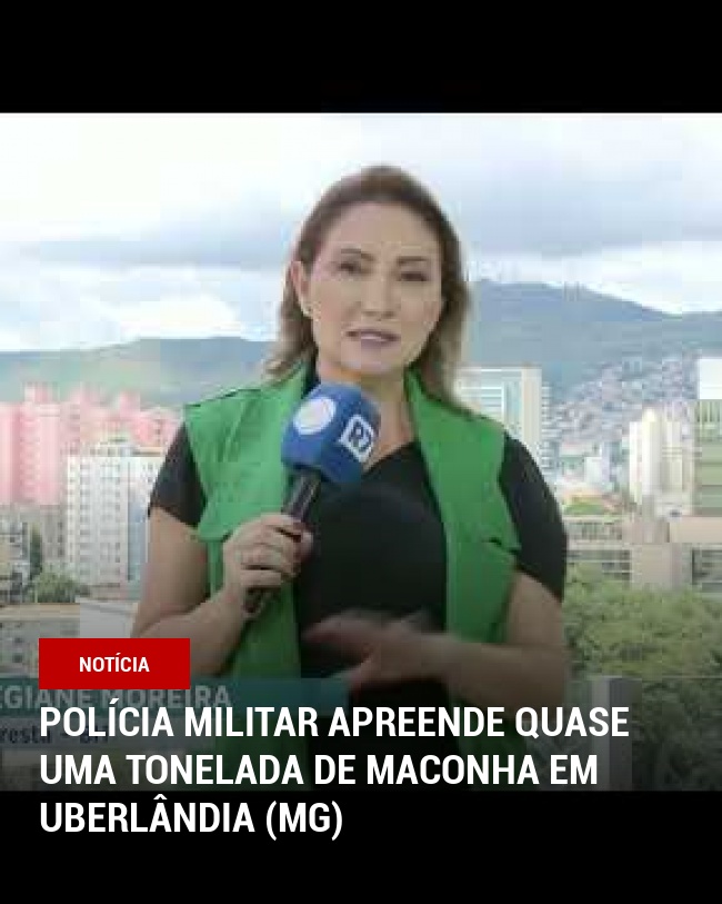 Polícia Militar apreende quase uma tonelada de maconha em Uberlândia (MG)
