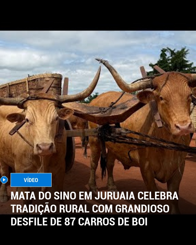 Mata do Sino em Juruaia Celebra Tradição Rural com Grandioso Desfile de 87 Carros de Boi