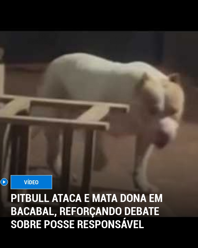 Pitbull Ataca e Mata Dona em Bacabal, Reforçando Debate Sobre Posse Responsável
