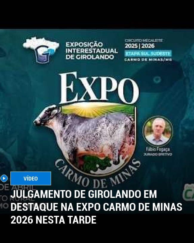 Julgamento de Girolando em Destaque na Expo Carmo de Minas 2026 Nesta Tarde