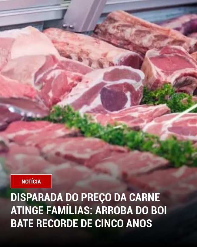 Disparada do Preço da Carne Atinge Famílias: Arroba do Boi Bate Recorde de Cinco Anos