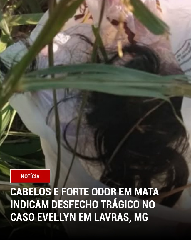 Cabelos e forte odor em mata indicam desfecho trágico no caso Evellyn em Lavras, MG