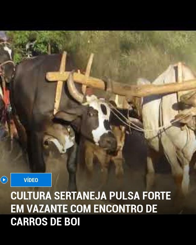 Cultura Sertaneja Pulsa Forte em Vazante com Encontro de Carros de Boi