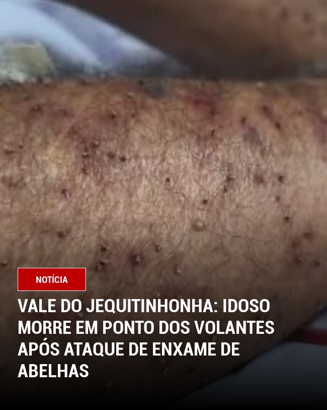 Vale do Jequitinhonha: Idoso Morre em Ponto dos Volantes Após Ataque de Enxame de Abelhas