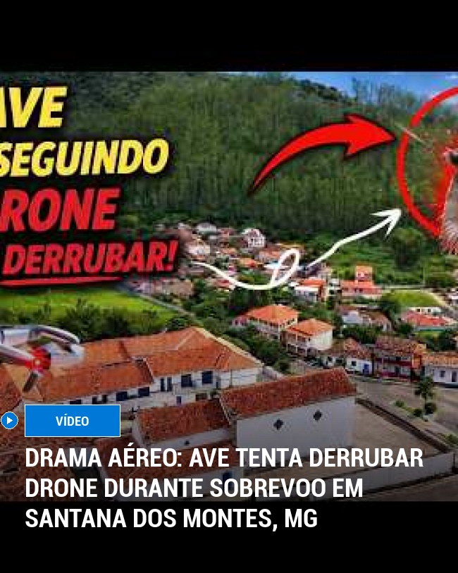 Drama Aéreo: Ave Tenta Derrubar Drone Durante Sobrevoo em Santana dos Montes, MG