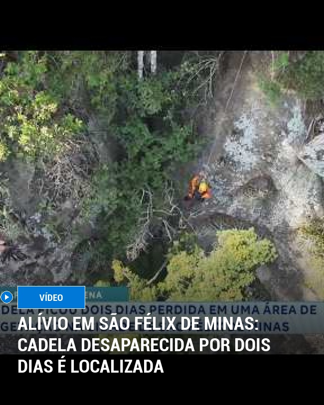 Alívio em São Félix de Minas: Cadela Desaparecida por Dois Dias é Localizada