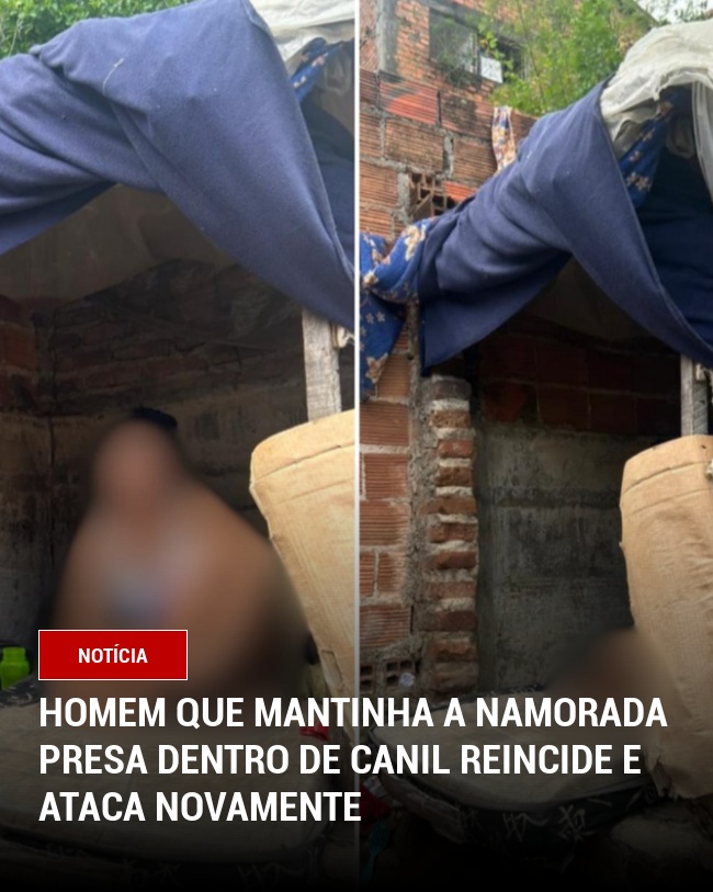 Homem que mantinha a namorada presa dentro de canil reincide e ataca novamente