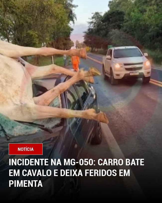 Incidente na MG-050: Carro Bate em Cavalo e Deixa Feridos em Pimenta