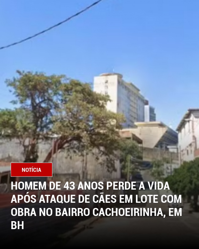 Homem de 43 anos perde a vida após ataque de cães em lote com obra no bairro Cachoeirinha, em BH