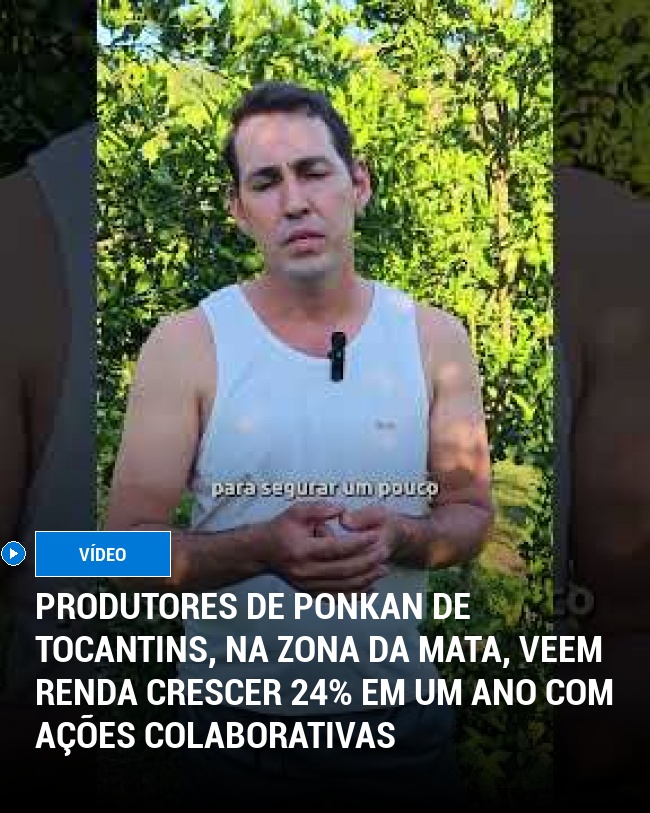 Produtores de Ponkan de Tocantins, na Zona da Mata, Veem Renda Crescer 24% em um Ano com Ações Colaborativas