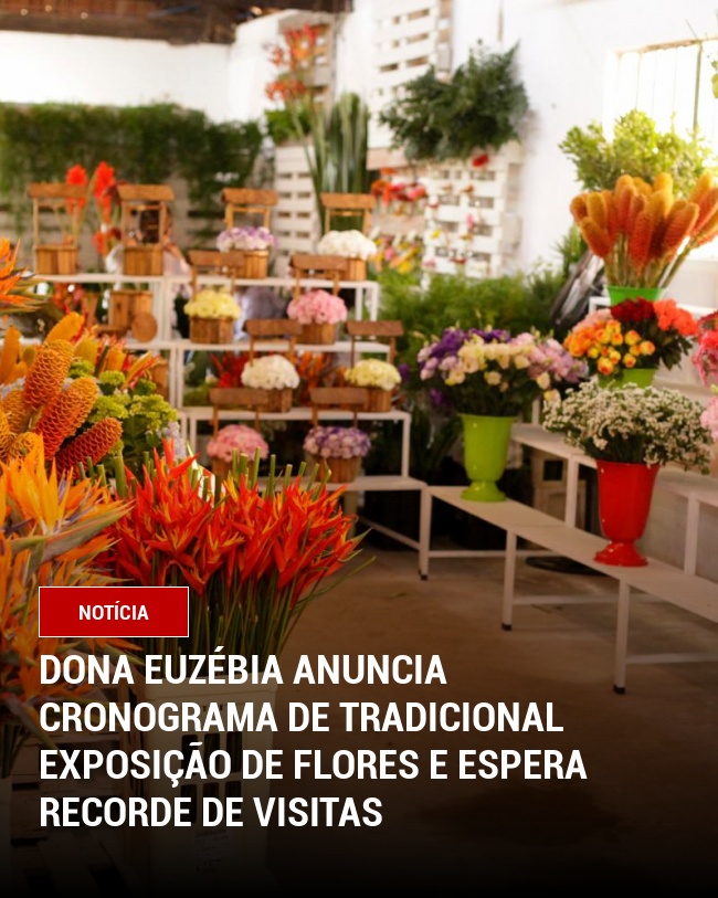 Dona Euzébia Anuncia Cronograma de Tradicional Exposição de Flores e Espera Recorde de Visitas