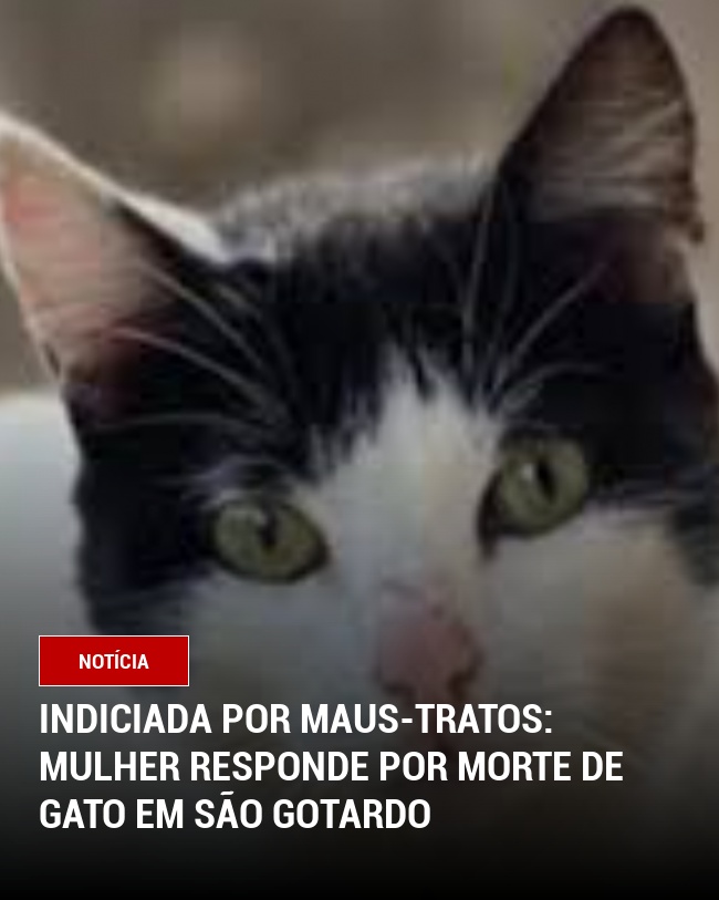 Indiciada por Maus-Tratos: Mulher Responde por Morte de Gato em São Gotardo