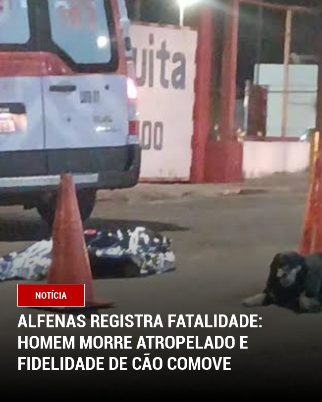 Alfenas registra fatalidade: Homem morre atropelado e fidelidade de cão comove