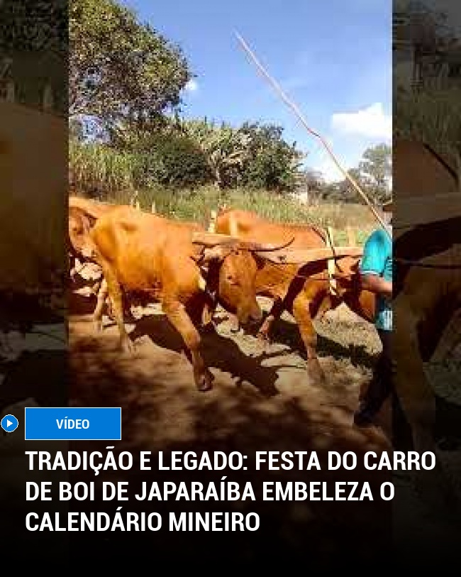 Tradição e Legado: Festa do Carro de Boi de Japaraíba Embeleza o Calendário Mineiro