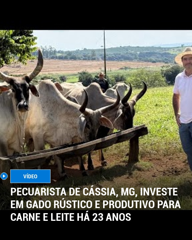 Pecuarista de Cássia, MG, investe em gado rústico e produtivo para carne e leite há 23 anos