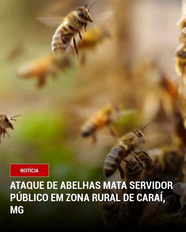 Ataque de Abelhas Mata Servidor Público em Zona Rural de Caraí, MG