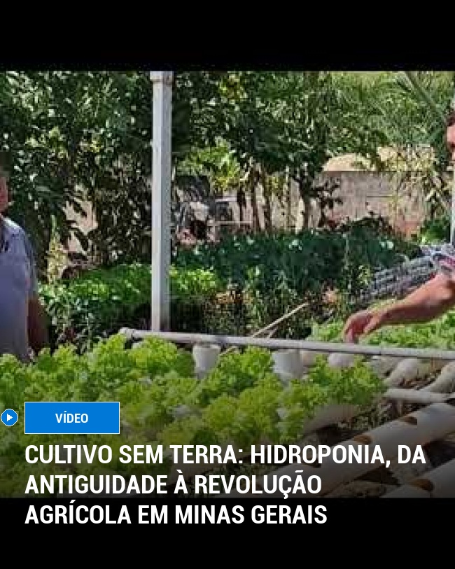 Cultivo Sem Terra: Hidroponia, da Antiguidade à Revolução Agrícola em Minas Gerais