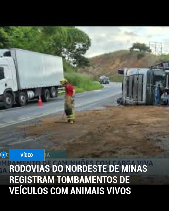 Rodovias do Nordeste de Minas registram tombamentos de veículos com animais vivos