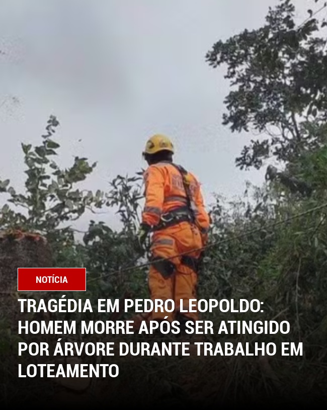 Tragédia em Pedro Leopoldo: Homem morre após ser atingido por árvore durante trabalho em loteamento