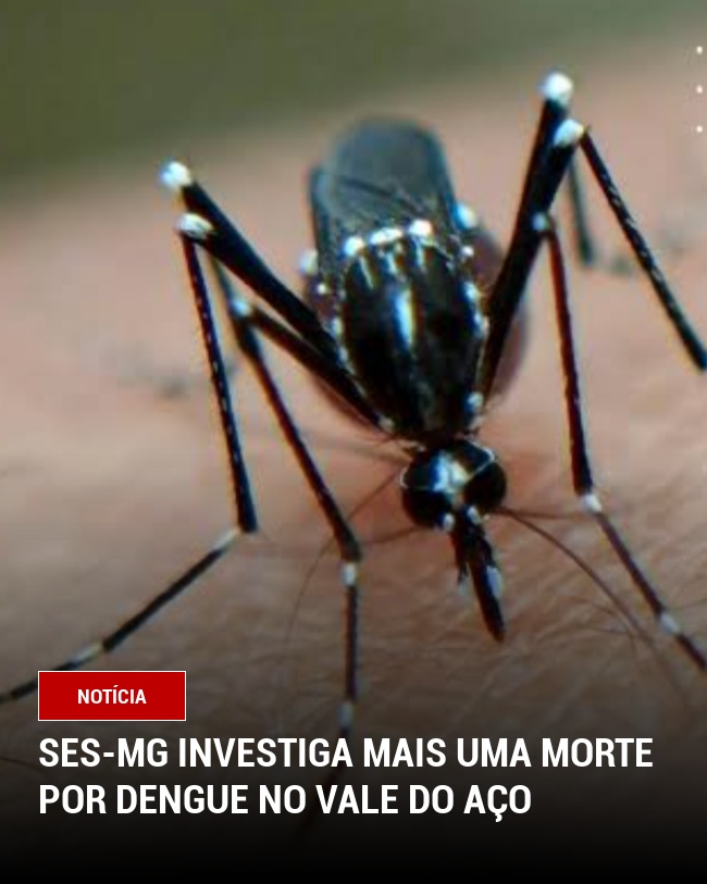 SES-MG investiga mais uma morte por dengue no Vale do Aço
