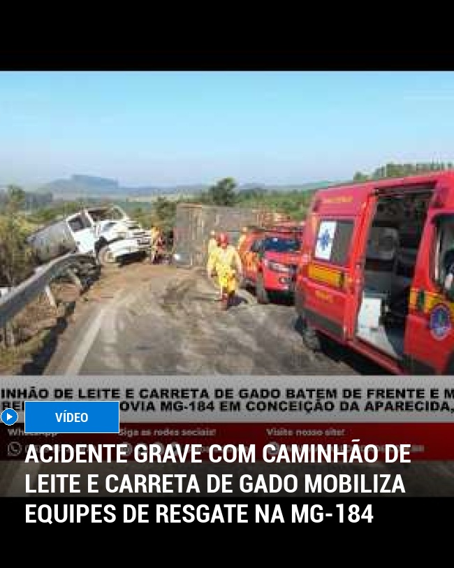 Acidente grave com caminhão de leite e carreta de gado mobiliza equipes de resgate na MG-184