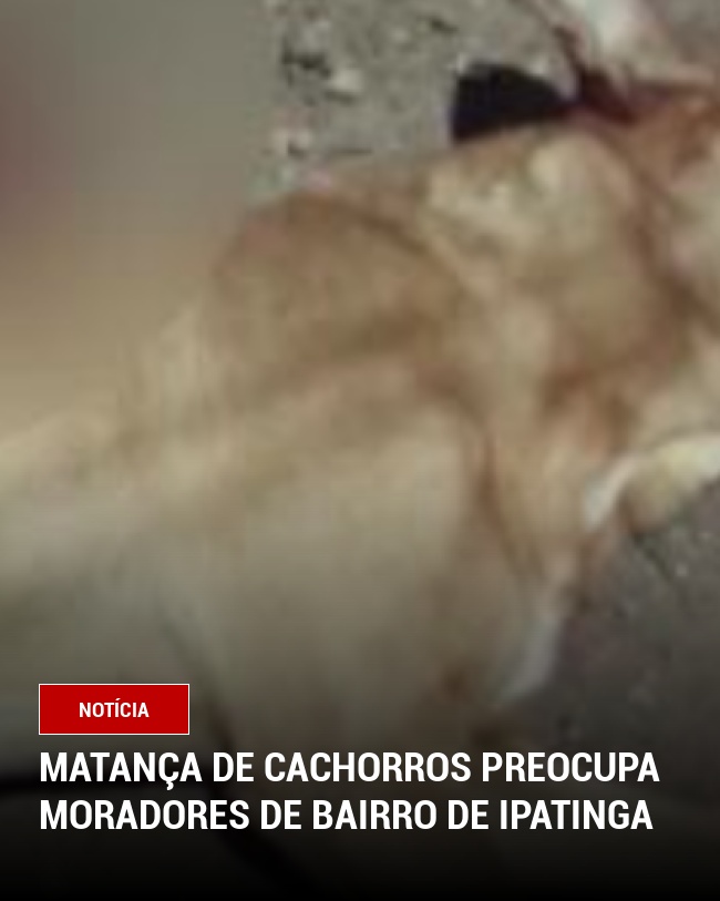Matança de cachorros preocupa moradores de bairro de Ipatinga