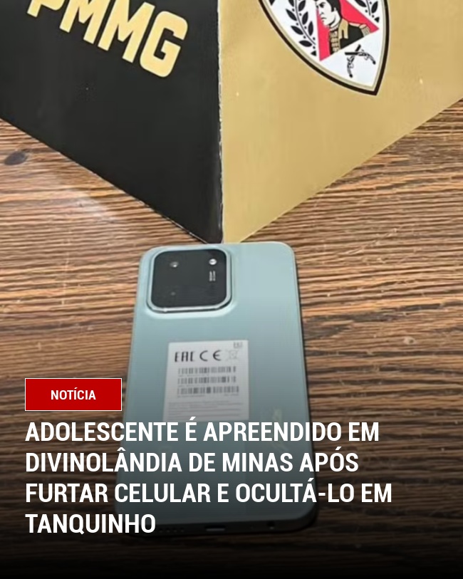 Adolescente é apreendido em Divinolândia de Minas após furtar celular e ocultá-lo em tanquinho