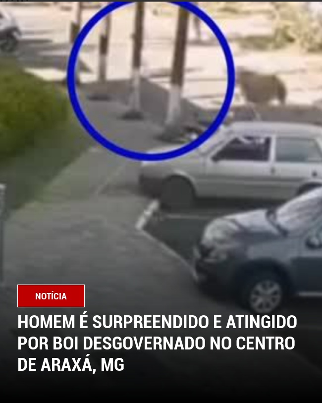 Homem é surpreendido e atingido por boi desgovernado no Centro de Araxá, MG