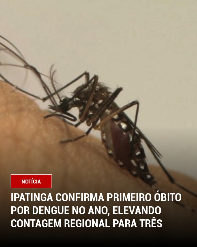 Ipatinga Confirma Primeiro Óbito por Dengue no Ano, Elevando Contagem Regional para Três