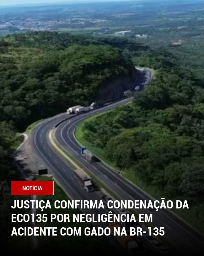 Justiça Confirma Condenação da Eco135 por Negligência em Acidente com Gado na BR-135