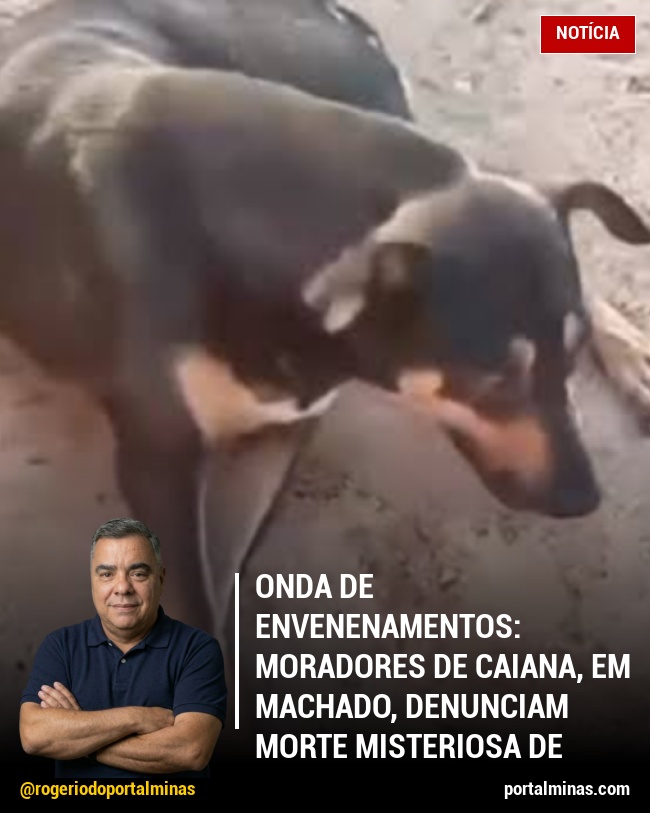 Onda de Envenenamentos: Moradores de Caiana, em Machado, denunciam morte misteriosa de cães e gatos