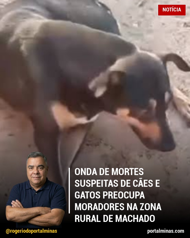 Onda de Mortes Suspeitas de Cães e Gatos Preocupa Moradores na Zona Rural de Machado