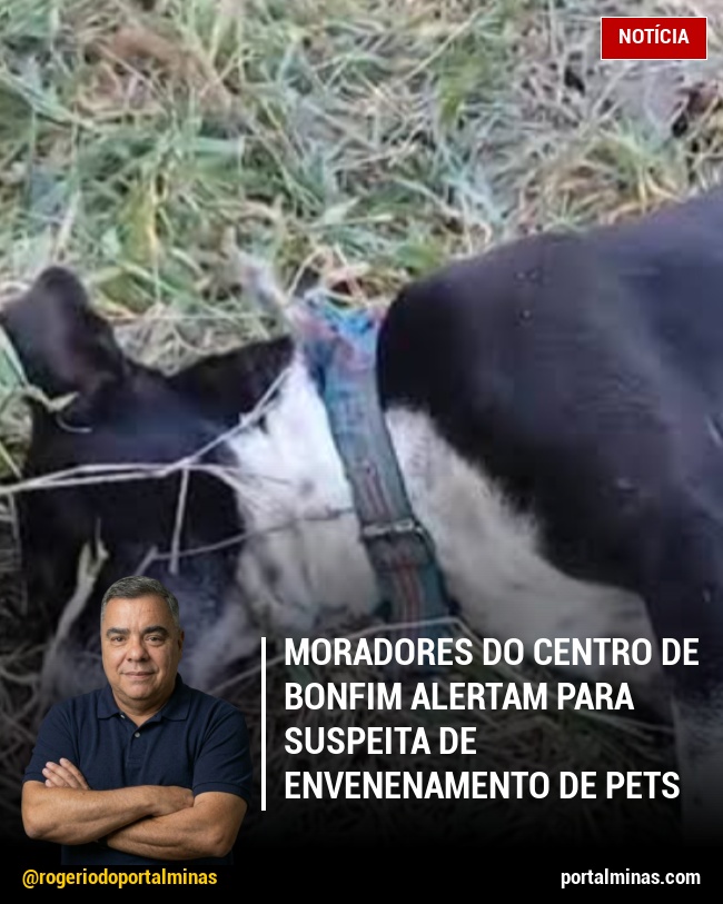 Moradores do Centro de Bonfim Alertam para Suspeita de Envenenamento de Pets
