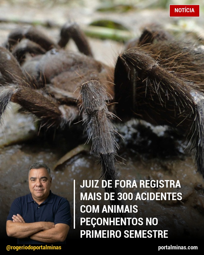 Juiz de Fora Registra Mais de 300 Acidentes com Animais Peçonhentos no Primeiro Semestre