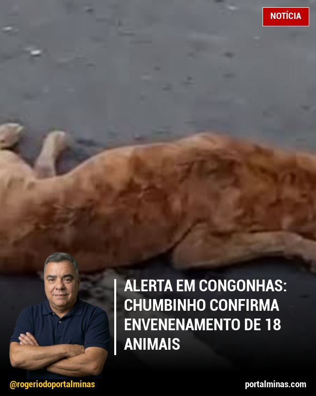 Alerta em Congonhas: Chumbinho Confirma Envenenamento de 18 Animais