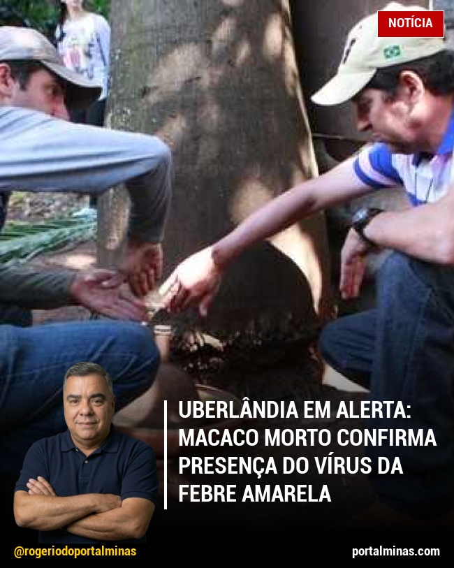 Uberlândia em Alerta: Macaco Morto Confirma Presença do Vírus da Febre Amarela