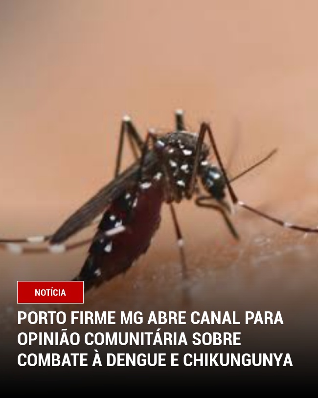 Porto Firme MG Abre Canal para Opinião Comunitária sobre Combate à Dengue e Chikungunya