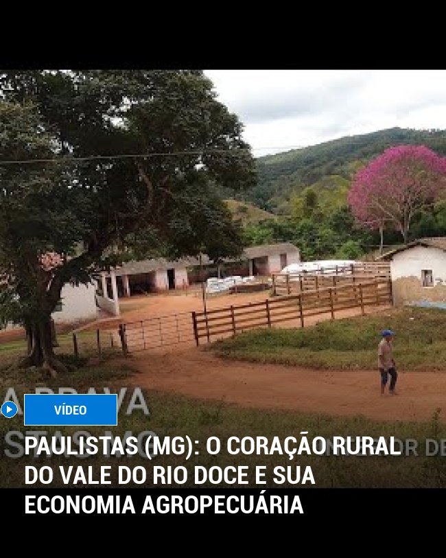 Paulistas (MG): O Coração Rural do Vale do Rio Doce e Sua Economia Agropecuária