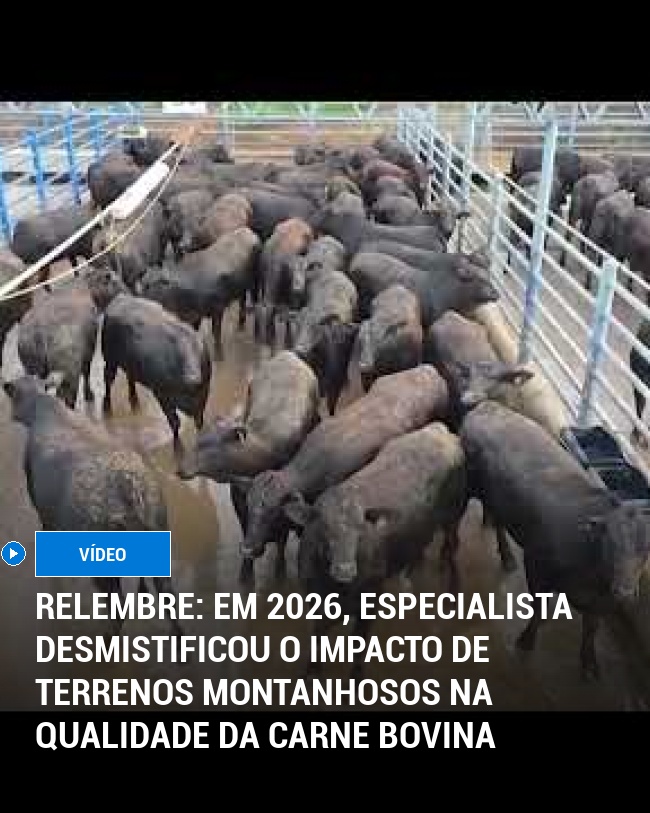 RELEMBRE: Em 2026, Especialista Desmistificou o Impacto de Terrenos Montanhosos na Qualidade da Carne Bovina