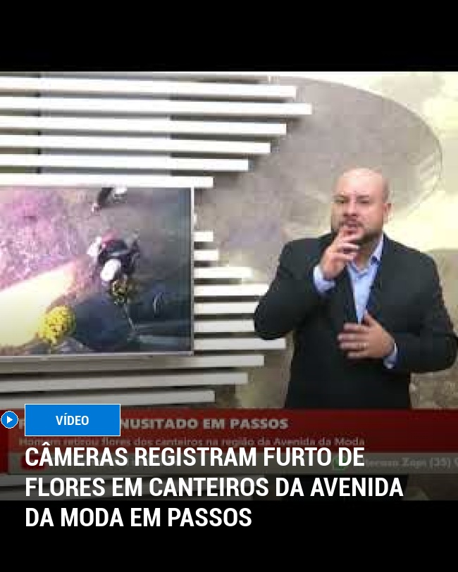 Câmeras Registram Furto de Flores em Canteiros da Avenida da Moda em Passos