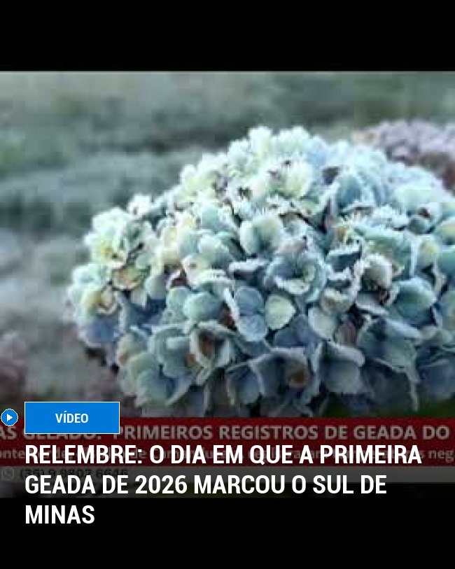 RELEMBRE: O Dia em que a Primeira Geada de 2026 Marcou o Sul de Minas