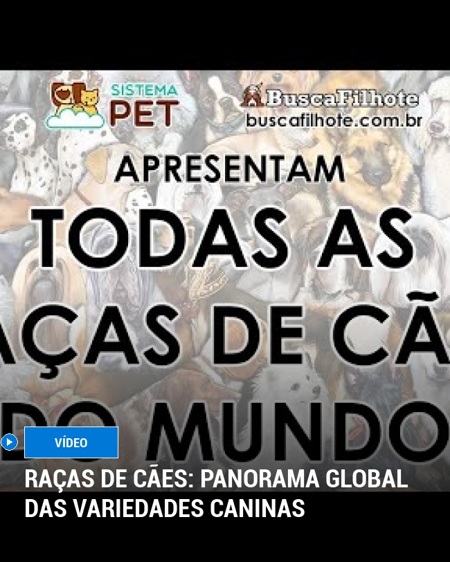 Raças de Cães: Panorama Global das Variedades Caninas