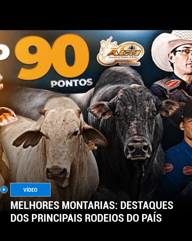 Melhores Montarias: Destaques dos principais rodeios do país