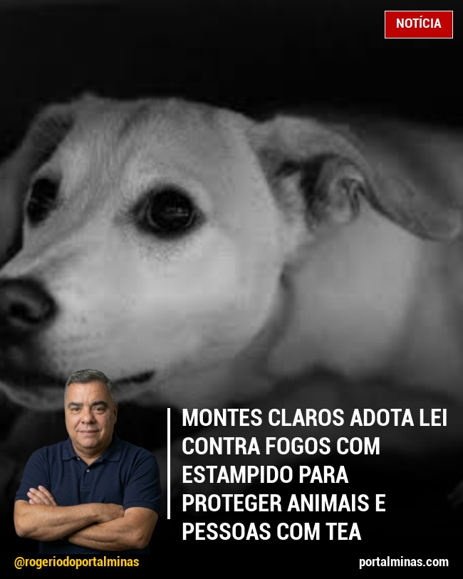 Montes Claros Adota Lei Contra Fogos com Estampido para Proteger Animais e Pessoas com TEA