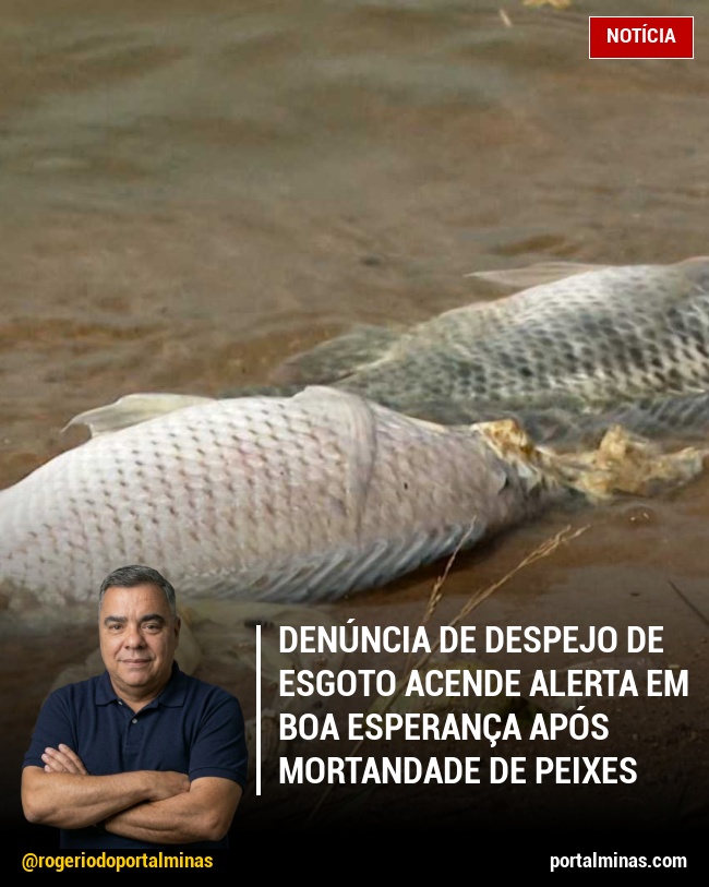 Denúncia de Despejo de Esgoto Acende Alerta em Boa Esperança Após Mortandade de Peixes