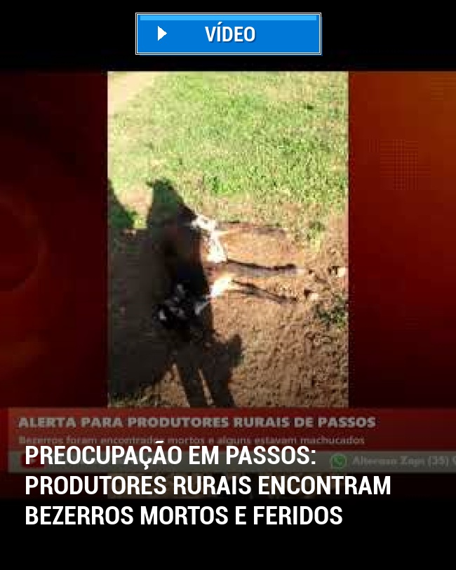 Preocupação em Passos: Produtores Rurais Encontram Bezerros Mortos e Feridos