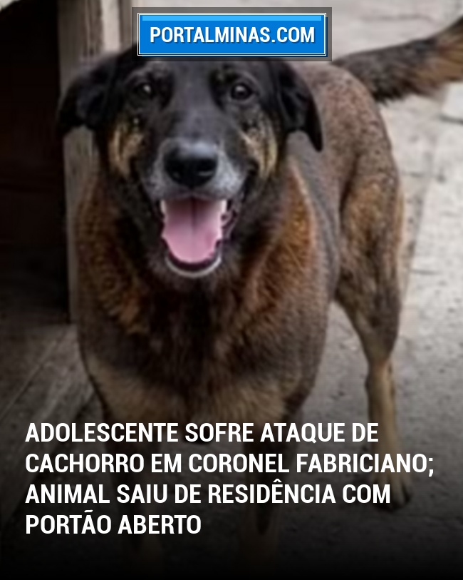 Adolescente sofre ataque de cachorro em Coronel Fabriciano; animal saiu de residência com portão aberto